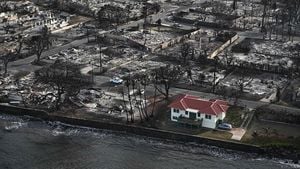 Wildfire Survivors Navigate Recovery Journey From Ashes