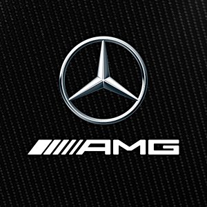 Mercedes-AMG Petronas Formula One Team