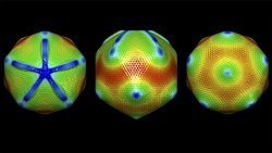 Viral Ökaryogenez: Ökaryotların Kökü Virüslere Dayanıyor Olabilir mi?