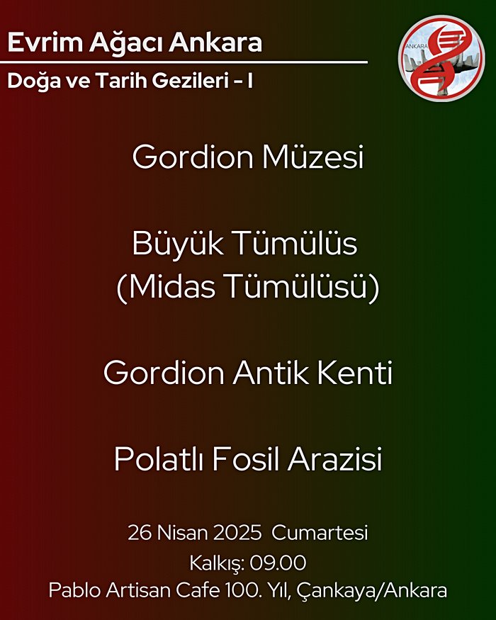 Gordion Antik Kenti ve Polatlı Fosil Arazisi Gezisi