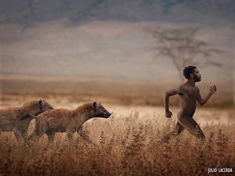 Sırtlanlardan kaçan bir arkaik Homo sapiens.
