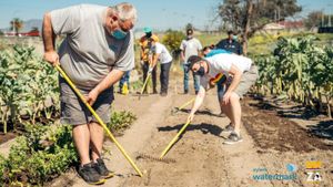 Amazon Launches Urban Food Garden Initiative