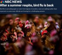 BREAKING: Bird Flu Mass Culling Resumes After Summer Pause — 4 Million Birds Exterminated in Past Month - Science, Public Health Policy and the Law