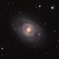 M95 with Supernova