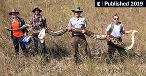 Hunters Take On Burmese Pythons To Save The Everglades