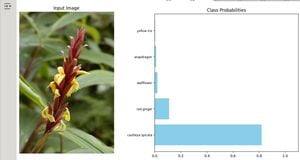 Cautleya Spicata Extracts Show Promise As Natural Pesticides