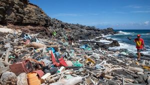 Extreme Human-Induced Pocket Beach Growth On Atacama Coast