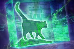 Fizikçilerden Kuantumda Dev Atılım: 'Sıcak Schrödinger’in Kedisi' Durumu Gerçekleştirildi!