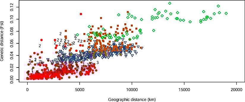 Coğrafyi mesafeye bağlı olarak genetik mesafenin değişimi