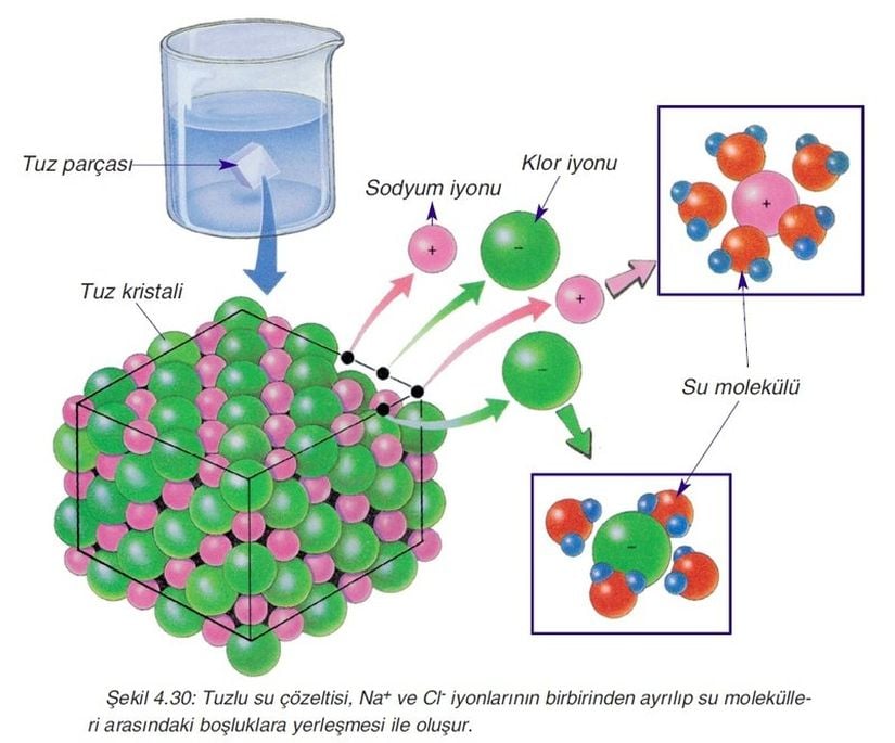 Tuzu oluşturan sodyum ve klorun suda çözünerek birbirinden ayrılmasını ve hidrasyon kabuğunun oluşmasını göstermektedir.