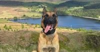 PD Rocco brings runaway suspect to his knees after police pursuit