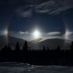 Alaskan Moondogs