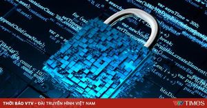 Vietnam Organizations Struggle With Cybersecurity Readiness