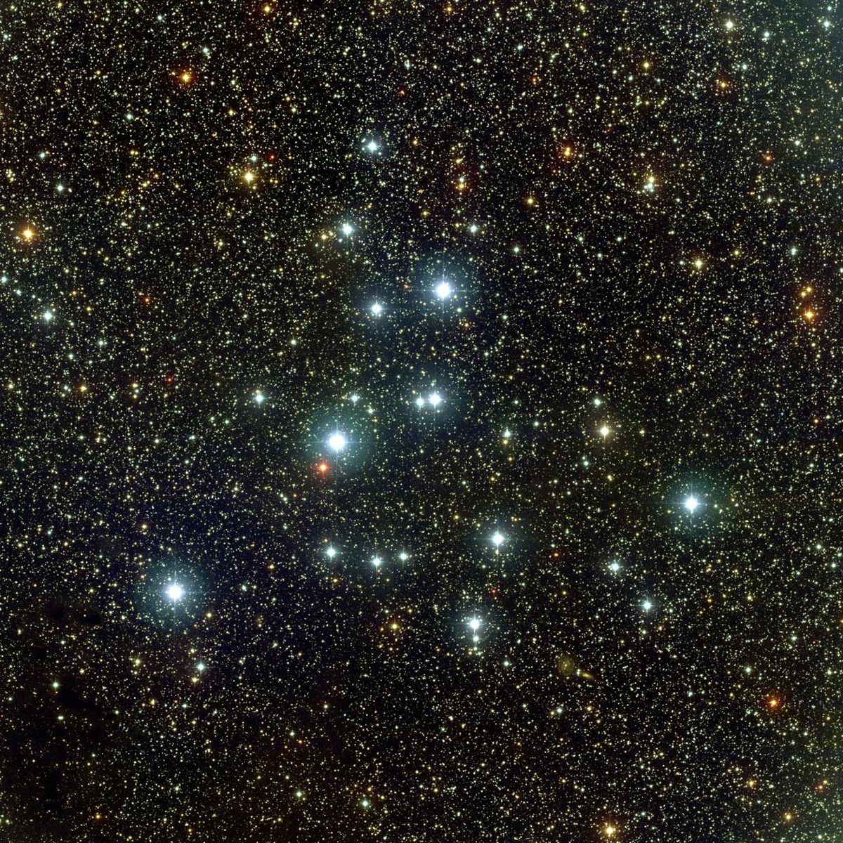 M39: Open Cluster in Cygnus