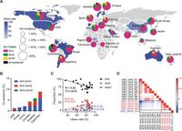 Clade-specific extracellular vesicles from Akkermansia muciniphila mediate competitive colonization via direct inhibition and immune stimulation - Nature Communications