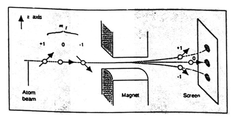 Bohr modeline göre beklenen deney sonucu. Gümüş atomları sahip oldukları üç farklı manyetik momente göre üç farklı yol izleyebilir. [2]