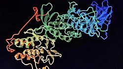 Nöral Ağlar, Yeni Proteinlerin Oluşmasına Yardımcı Oluyor!