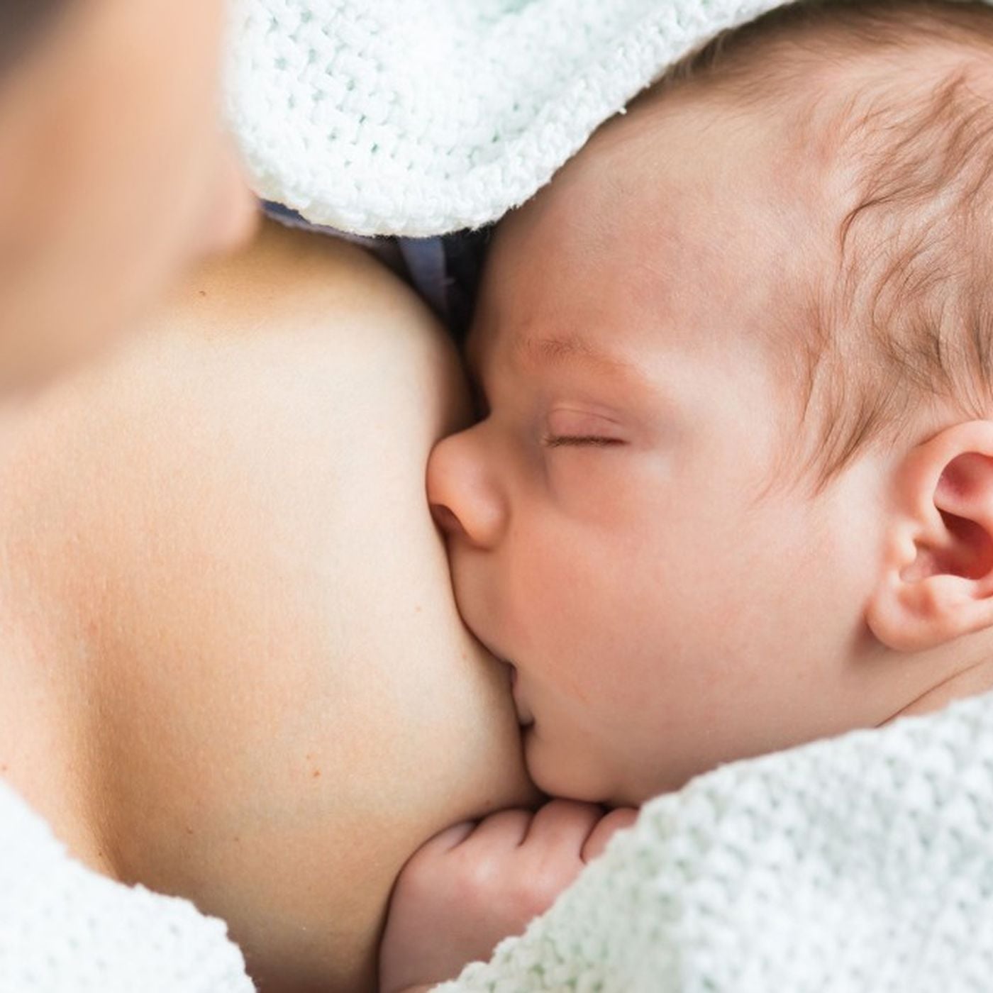 Baldwin Etkisi: Hayvanlar, Doğuştan Gelen Davranışları Nereden Biliyorlar?