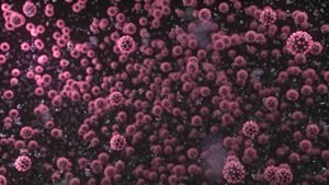 SARS-CoV-2 Artık Çok Daha Hızlı Evrimleşiyor ve Bu, Salgınla İlgili En Büyük Problem: Virüs, İnsan Toplumunda Kalıcı Hale Gelebilir!