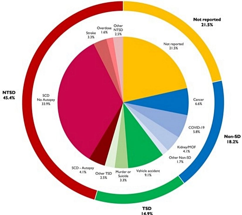 Ölümlerin nedenlerine göre gruplandırılmış, tespit edilmiş tüm ölümler (n = 121).