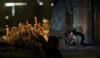 The Last of Us 2ª temporada apresenta os Espreitadores, os infectados inteligentes que atacaram Ellie | Universo Sagas