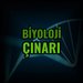 Çınar Yenil
