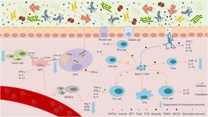 New Study Links Gut Microbiota To Osteosarcoma Risks