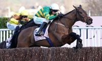 Gold Cup winner Inothewayurthinkin withdraws from Grand National