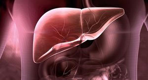 Breakthrough Study Reveals SR-A3's Role In Fatty Liver Disease