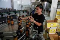 Palestinian beer defies the odds and goes on sale in Britain with help...