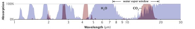 Tüm atmosferik gazların benzersiz bir enerji absorpsiyon modeli vardır: bazı dalga boylarındaki enerjiyi emerler, ancak diğerleri için şeffaftırlar. Su buharının (mavi tepeler) ve karbondioksitin (pembe tepeler) absorpsiyon modelleri bazı dalga boylarında örtüşür. Karbondioksit, su buharı kadar güçlü bir sera gazı değildir, ancak su buharının yapmadığı dalga boylarında (12-15 mikrometre) enerjiyi emer, yüzey tarafından yayılan ısının normalde uzaya kaçacağı “pencereyi” kısmen kapatır.
