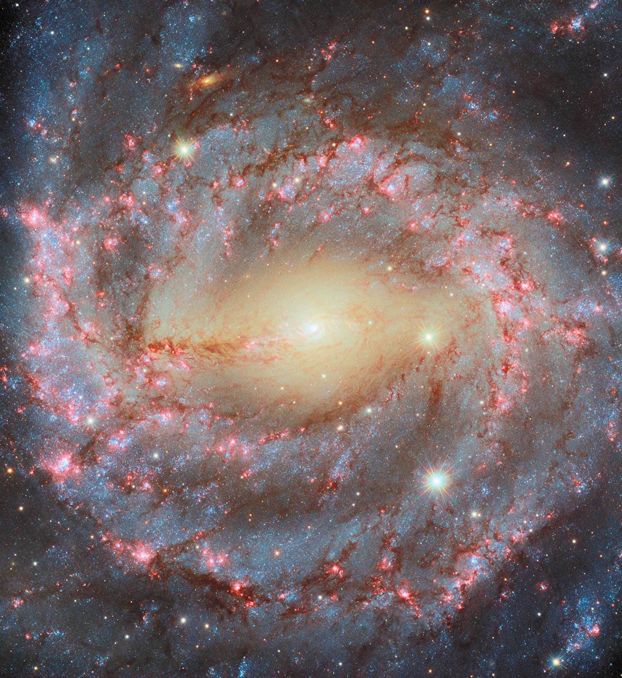 Büyük Sarmal NGC 5643