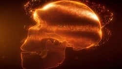 Neandertallerin Yok Olma Nedeni Akraba Evliliği Olmayabilir!