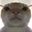Mr Delaxus