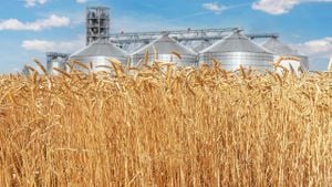 Penza Region Exports Over 921 Tons Of Grain