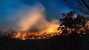 Wildfires Rage Across Carolina Forests, Evacuations Ordered