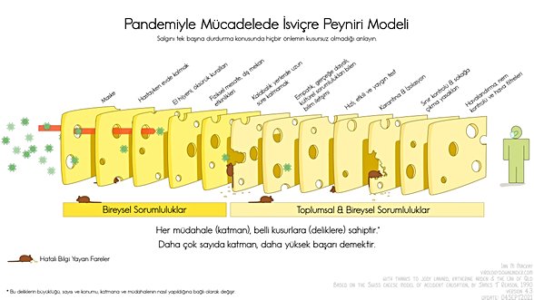 İsviçre Peyniri Modeli
