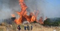 Dozens of Wildfires Burn in Greece and Turkey as Temperatures Soar