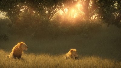 Karasal Biyomlar: Karasal Hayvanların Yaşadığı Farklı Ekosistemler Nelerdir?