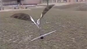 Raven Sets New Standard For Bird-Inspired Drone Technology