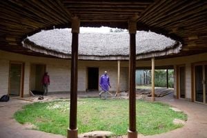 Mushrooms Build Homes In Kenya As Foraging Sparks Debate