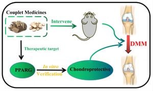 L-Glutamine Shows Promise As Osteoarthritis Treatment