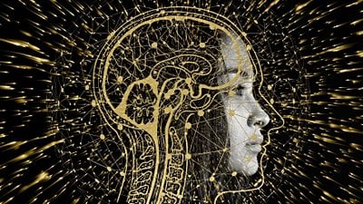 Deontoloji Argümanları, Nörobilim ve fMRI Çalışmaları ile Çürütülebilir mi?