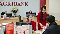 Agribank đẩy mạnh sắp xếp tổ chức mạng lưới theo hướng tăng cường dư địa cho phát triển “tam nông”