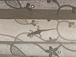 Görseldeki kertenkele zararlı mı?