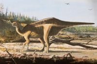 New dinosaur species discovered with ‘eye-catching sail’ along its back