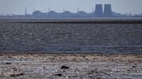 The UN nuclear watchdog seeks a local truce to restore power to the Zaporizhzhia plant