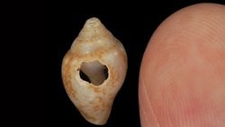 Türkiye'deki Mağarada Şaşırtıcı Keşif: Neandertaller ve Modern İnsanlar 59.000 Yıl Önce Aynı Kültürü Paylaşmış.