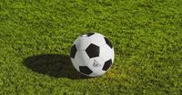 Longtime Seattle Sounders, Reign CFO Steps Down