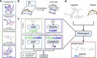 RNAmigos2: accelerated structure-based RNA virtual screening with deep graph learning - Nature Communications